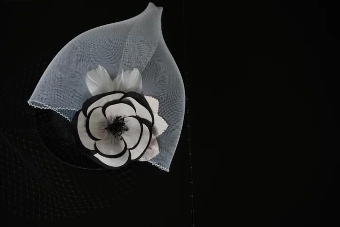 Ivory & Black Floral Veil Headpiece — Front view